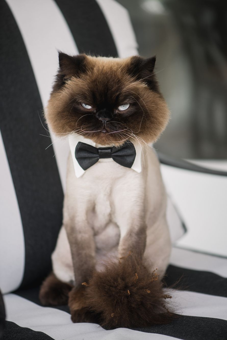 Destination Designing - Flowers for a Black-tie, Backyard, Charleston Wedding