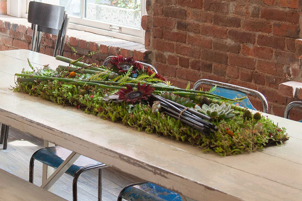 6 Ways Flowers "Talk Turkey" for Thanksgiving