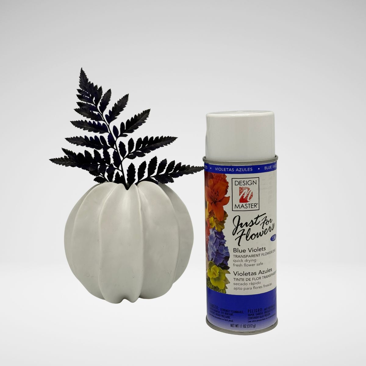 BlueViolets_LeatherLeaf.jpg__PID:388ed161-ba5f-4cfc-a9e6-f1fb7e198bbe