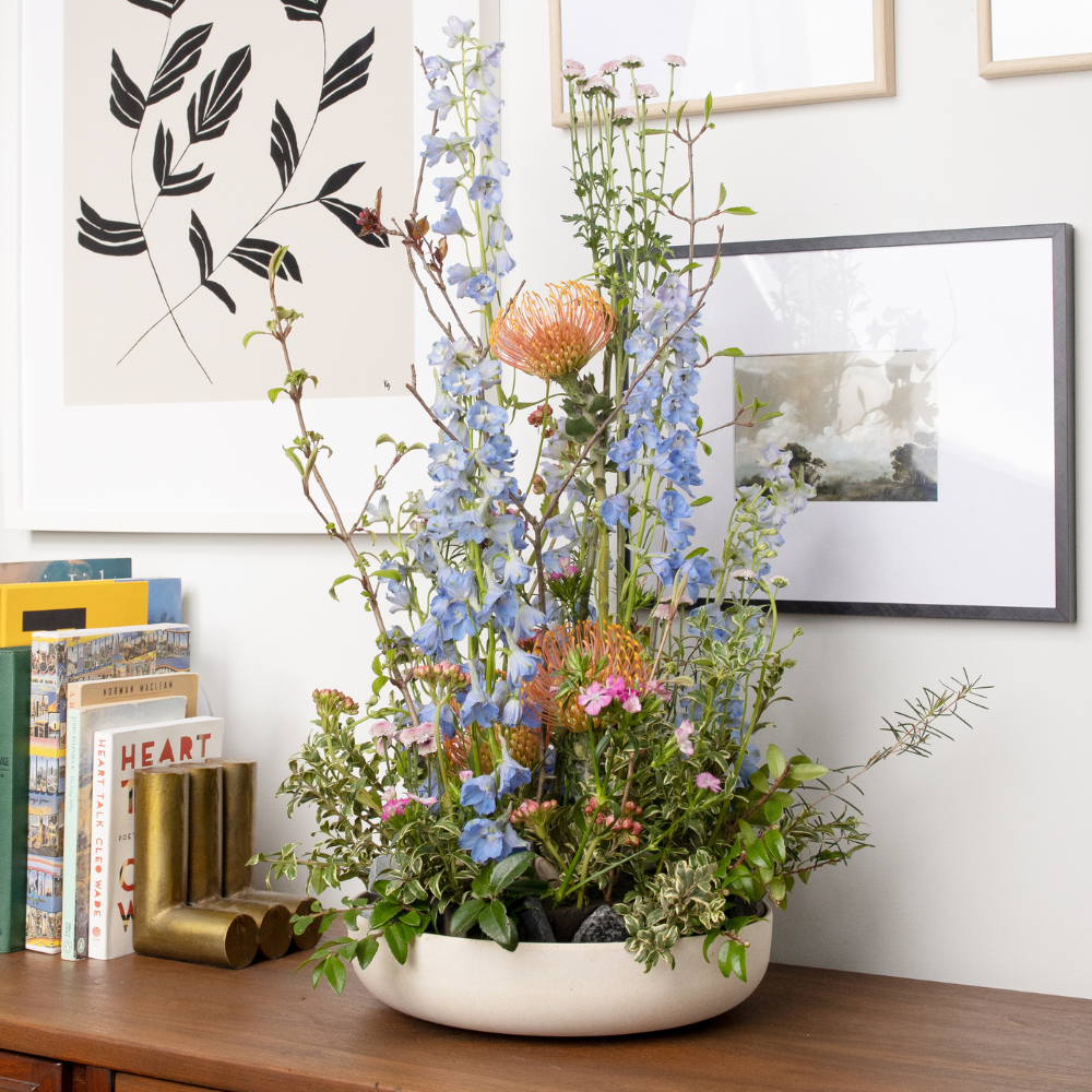 ECOssentials™ Designer Dish