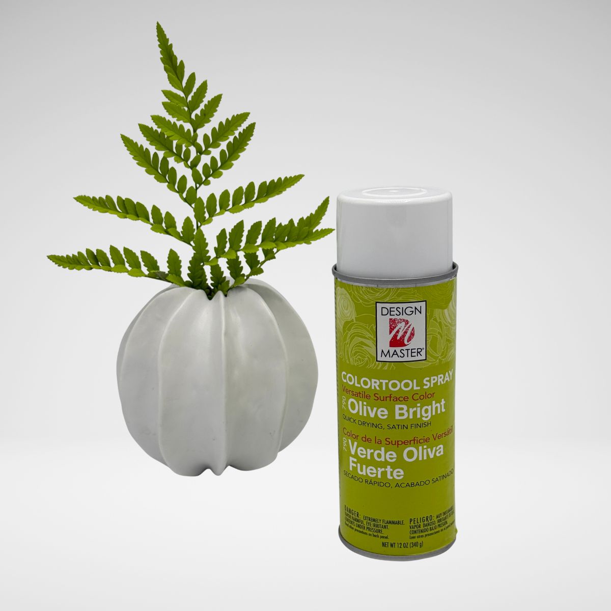 OliveBright_LeatherLeaf.jpg__PID:74099230-b7ef-4da8-9aba-8e62a4c9fc6d