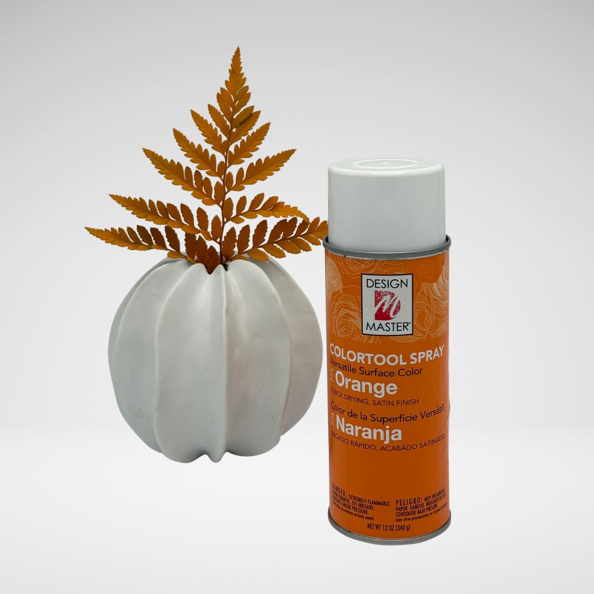 Orange_LeatherLeaf.jpg__PID:119187c1-cf8c-490e-884c-7c008a056e98