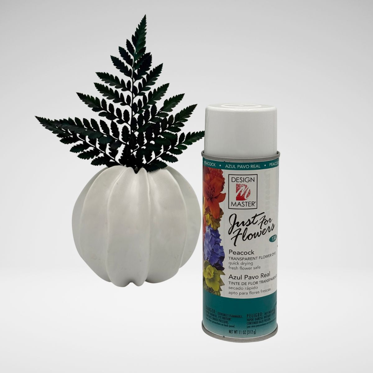 Peacock_LeatherLeaf.jpg__PID:a89aba8e-62a4-49fc-ad36-1cff62b23191