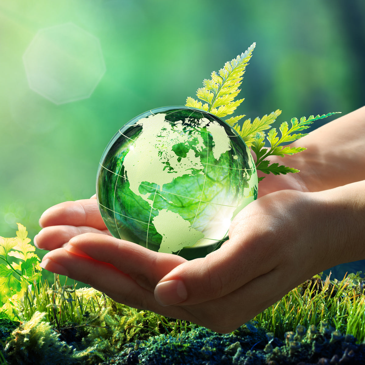 Can flowers help heal the world when this is all over?