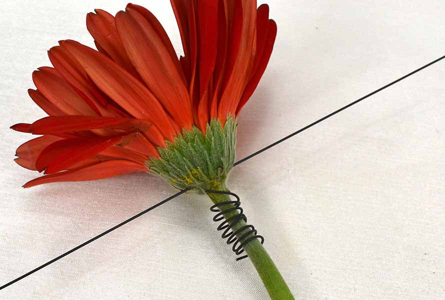Why and How to Wire and Tape Flowers