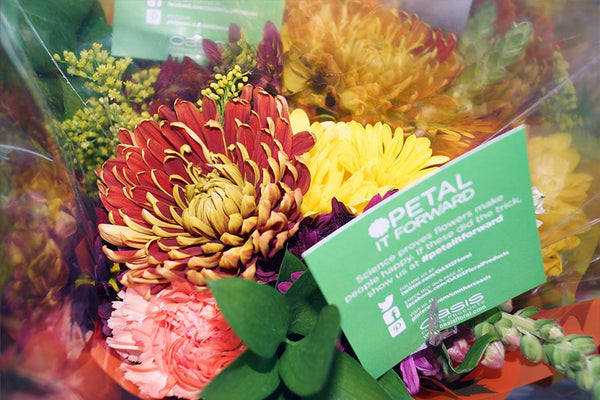 Sharing Flower Happiness Across America with Petal It Forward