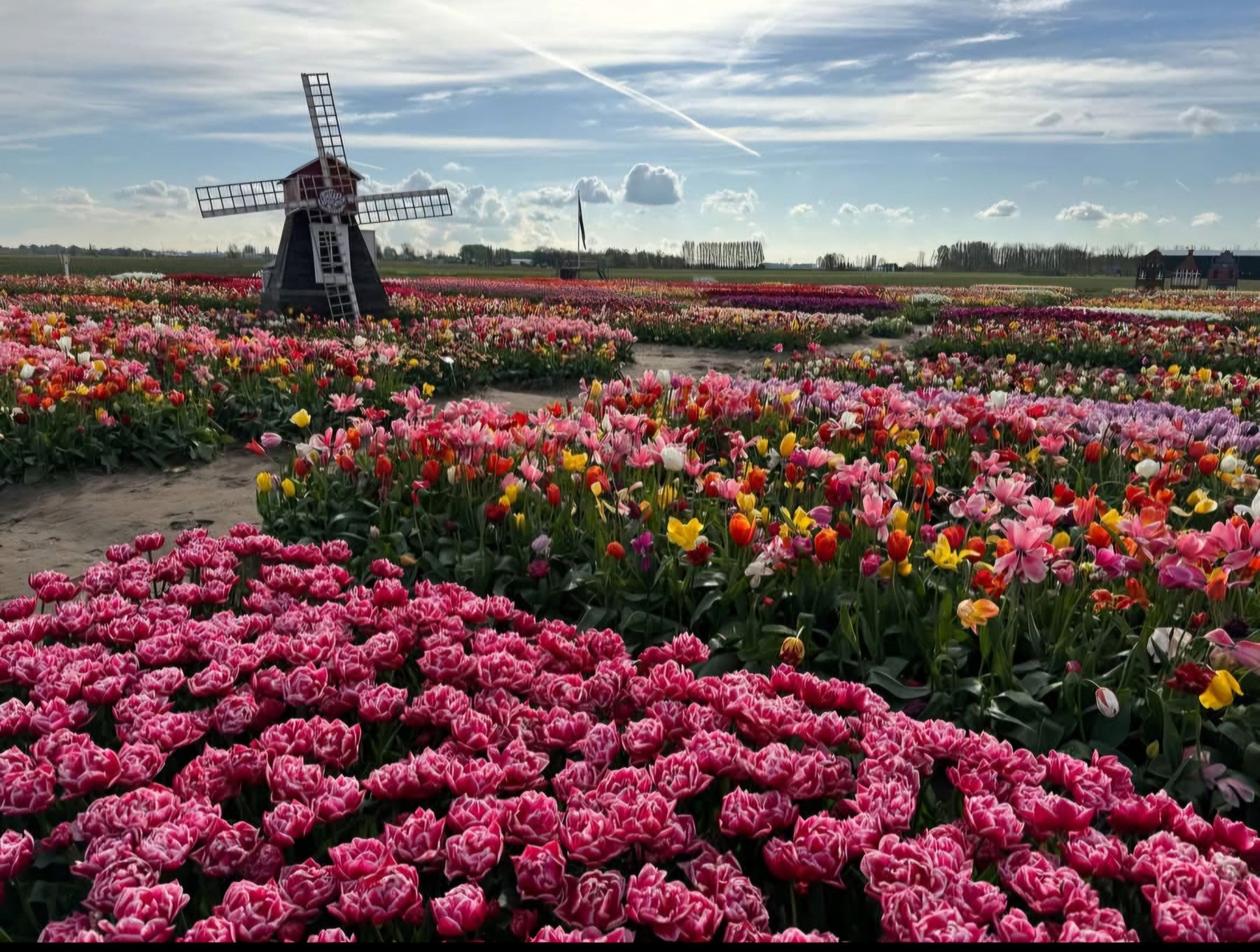 Dutch Floral Adventure - Tulip Tour of The Netherlands with Sharon McGukin