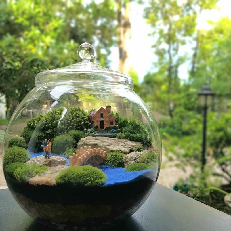 8 Easy Steps for Planting Terrariums