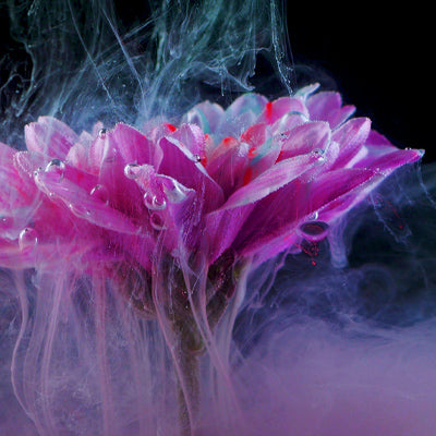 Mastering the Art of Floral Paint