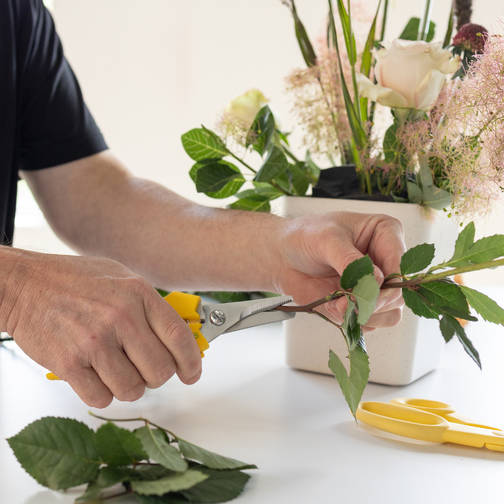 OASIS® Bunch Cutter