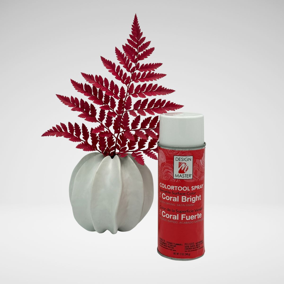 CoralBright_LeatherLeaf.jpg__PID:48cf3723-a086-4ead-a9a5-0e4f0b705405