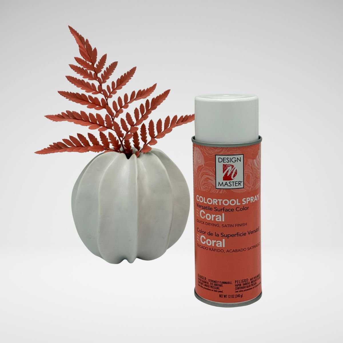 Coral_LeatherLeaf.jpg__PID:9187c1cf-8cd9-4e08-8c7c-008a056e9837