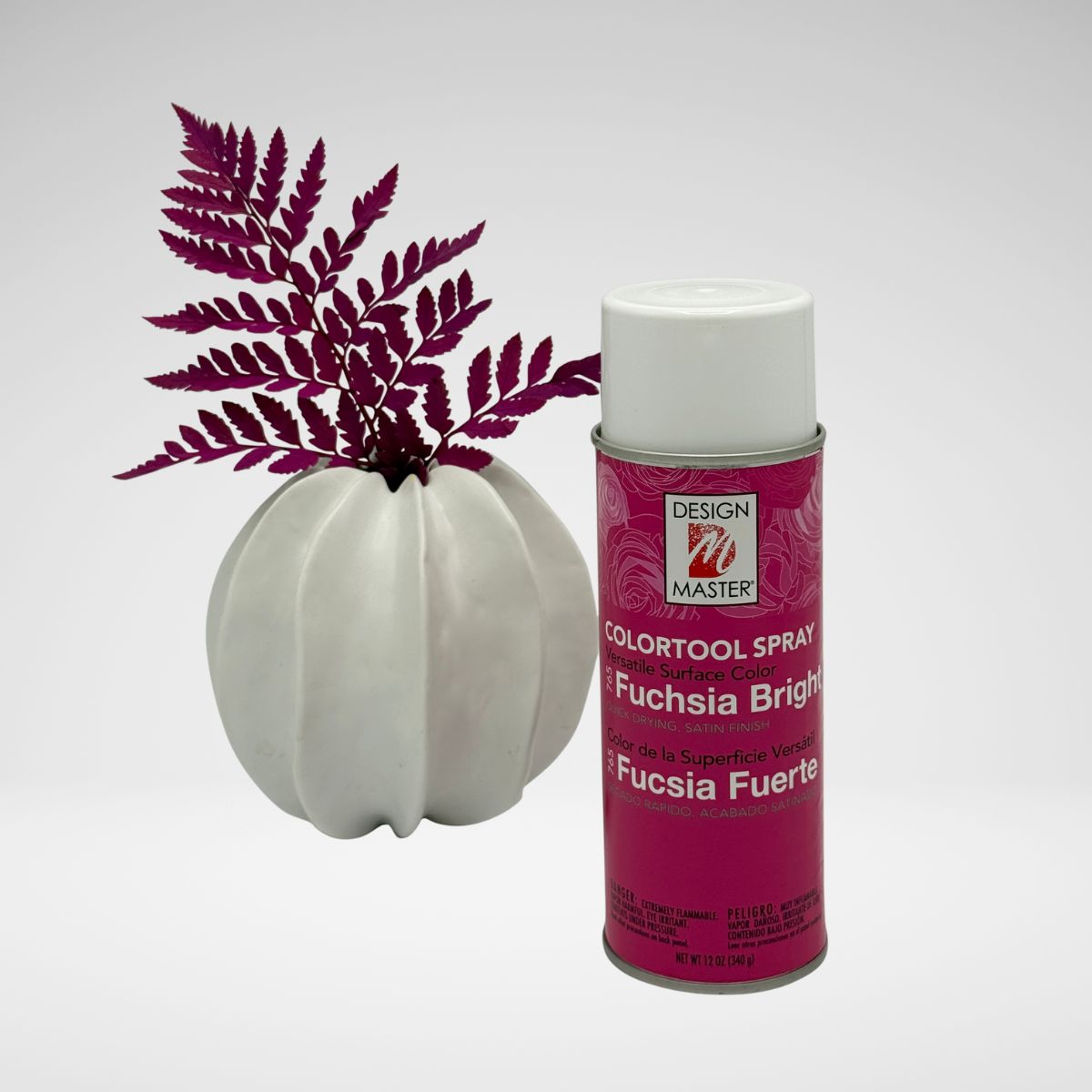 FuchsiaBright_LeatherLeaf.jpg__PID:e460debd-1dc3-4574-9e72-8f725480a6e8