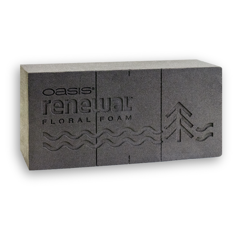 Renewal (1).png__PID:0260aed5-8fd4-43d5-80f4-c2898483f7b4