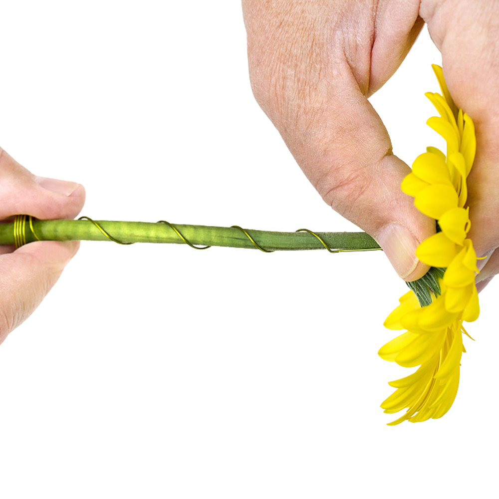 Stand-Up Gerbera Stem Supports