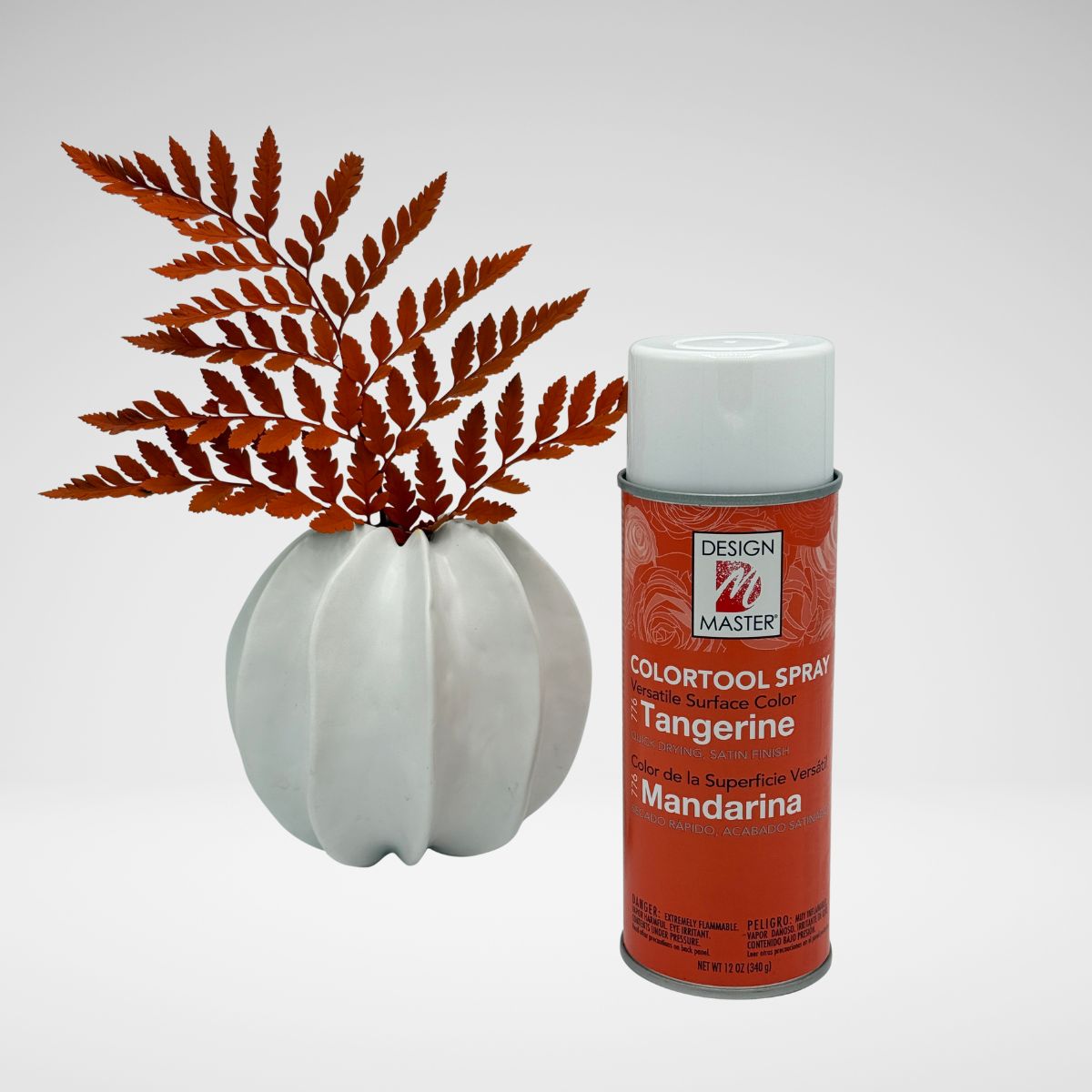Tangerine_LeatherLeaf.jpg__PID:40119187-c1cf-4cd9-8e08-4c7c008a056e
