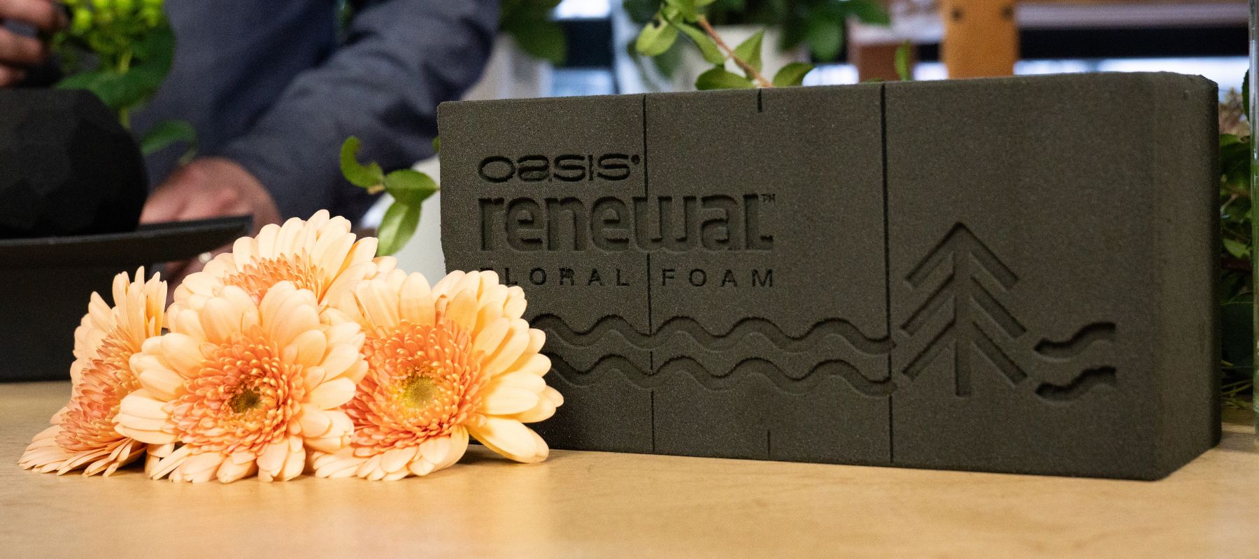 OASIS® Floral Foam Maxlife | OASIS® Floral Products