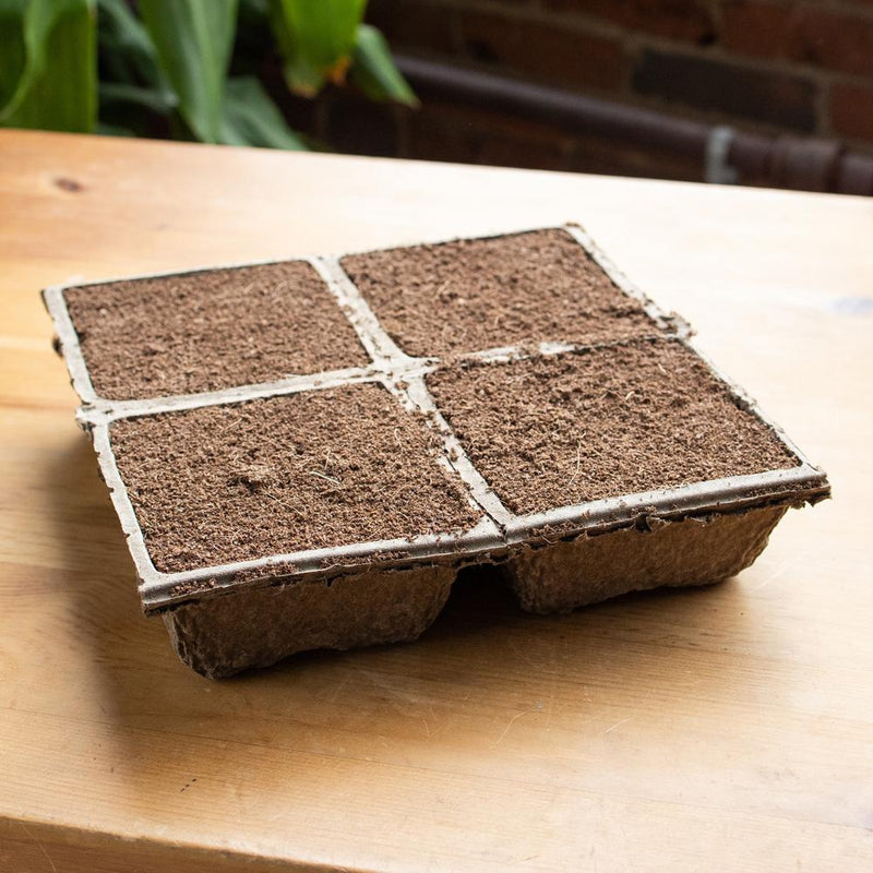 OASIS® TerraBrick™ Floral Media  The First Compostable Floral Media f